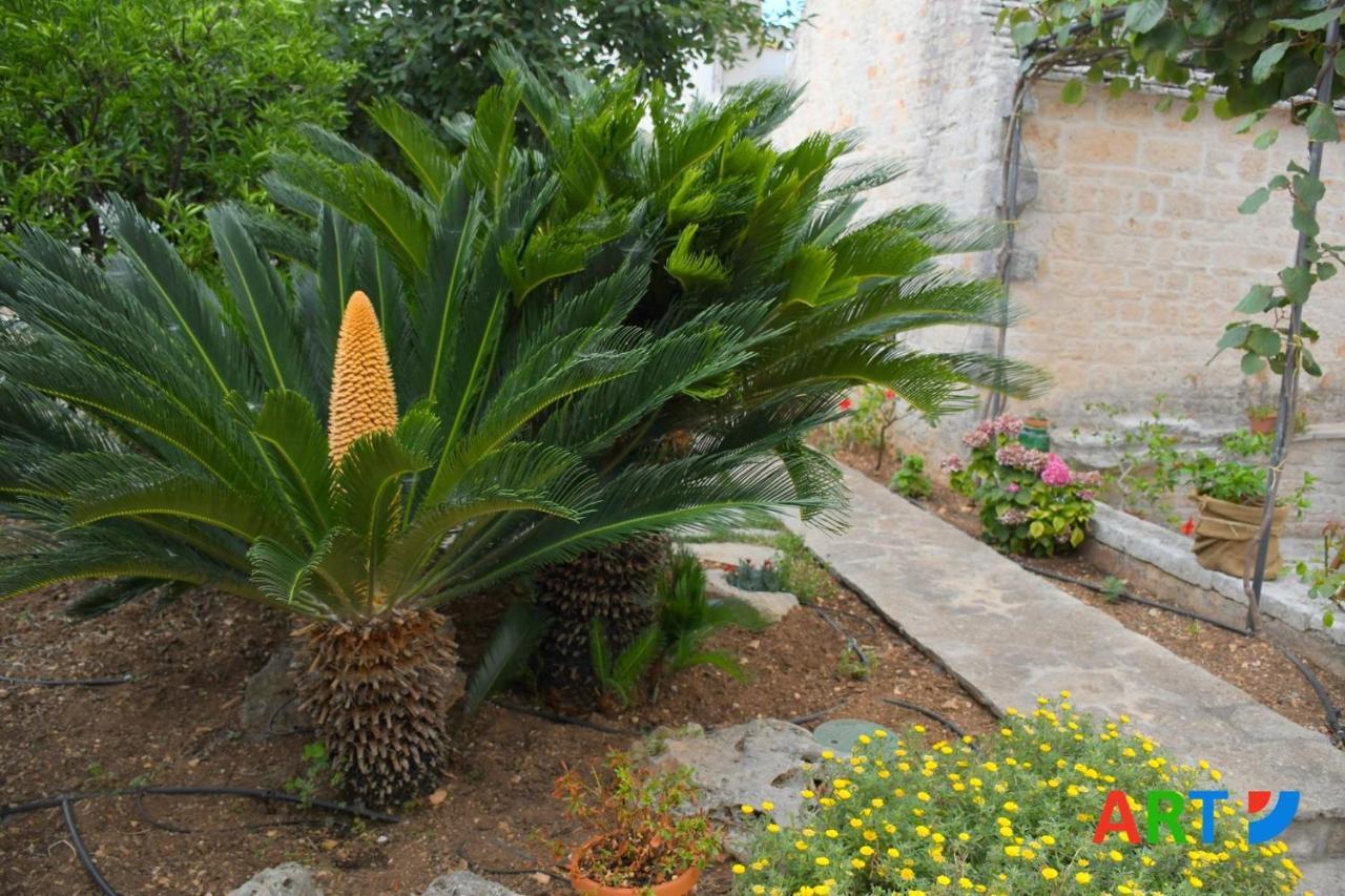 הוילה אלברובלו Trullo Al Vicoletto Al Civico 10, Civico 8, Civico 7 מראה חיצוני תמונה